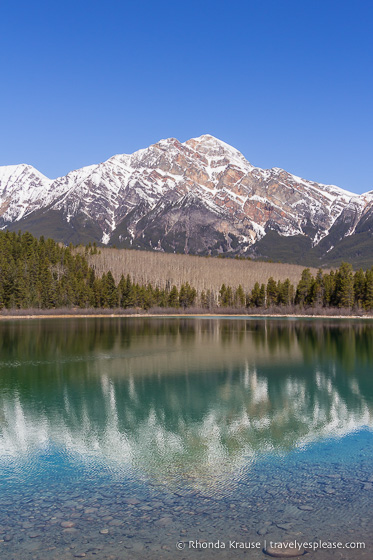 travelyesplease.com | Jasper National Park Bucket List- Things to Do and Places to Visit in Jasper