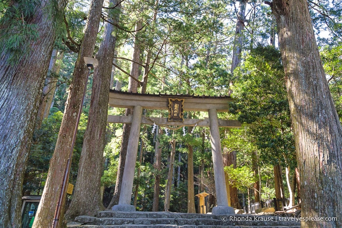 travelyesplease.com | Beautiful Shinto Shrines in Japan- The Best Shrines to Visit in Japan