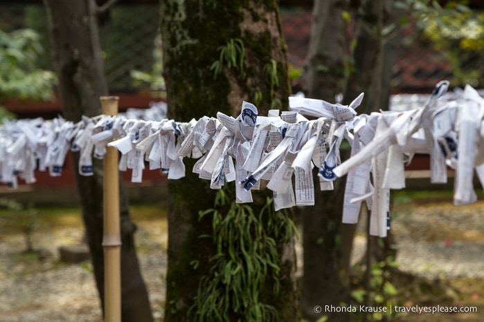 travelyesplease.com | Best Shrines in Japan to Visit- My Favourite Japanese Shrines