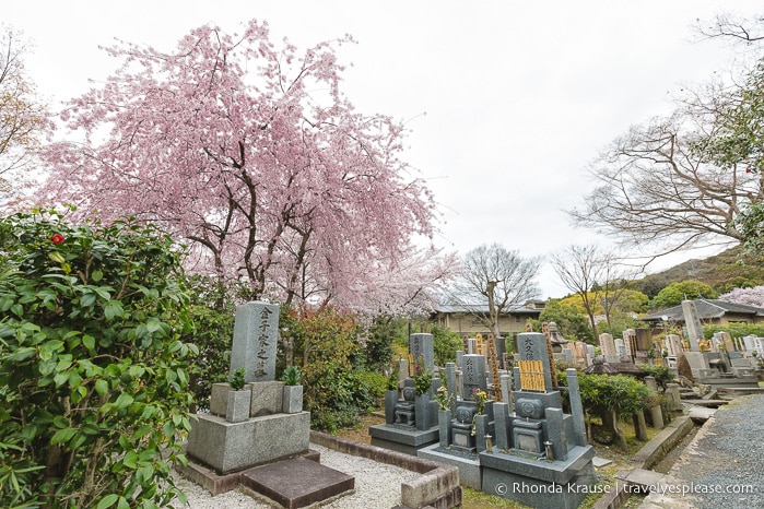 travelyesplease.com | Kodaiji Temple- Tour, History and Tips for Visiting