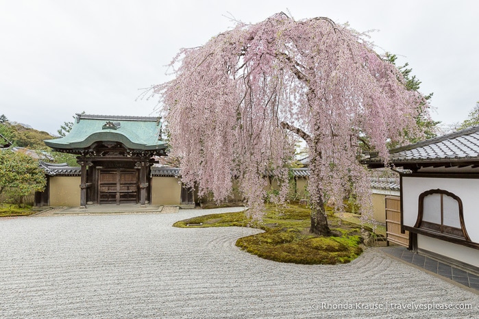 travelyesplease.com | Visiting Kodai-ji Temple- Our Self-Guided Tour