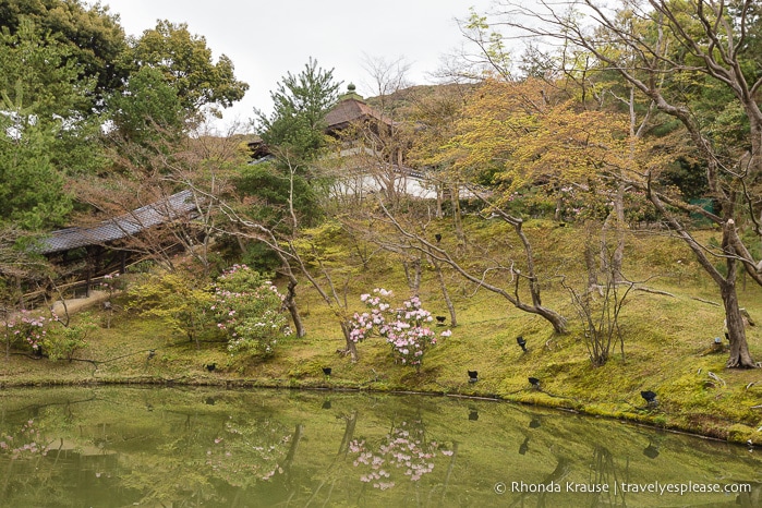 travelyesplease.com | Kodai-ji Temple- A Beautiful Zen Temple in Kyoto