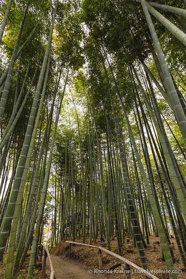 travelyesplease.com | Kodai-ji Temple- A Beautiful Zen Temple in Kyoto