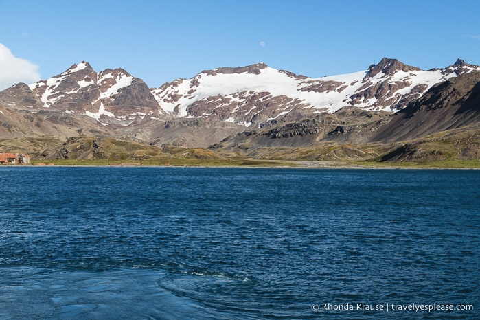 Antarctica Itinerary- Visit to Antarctica, South Georgia and Falkland Islands by Cruise