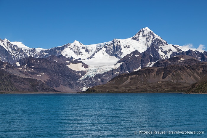 Trip to Antarctica- Itinerary for Visiting Antarctica, South Georgia and Falkland Islands on an Antarctic Expedition Cruise