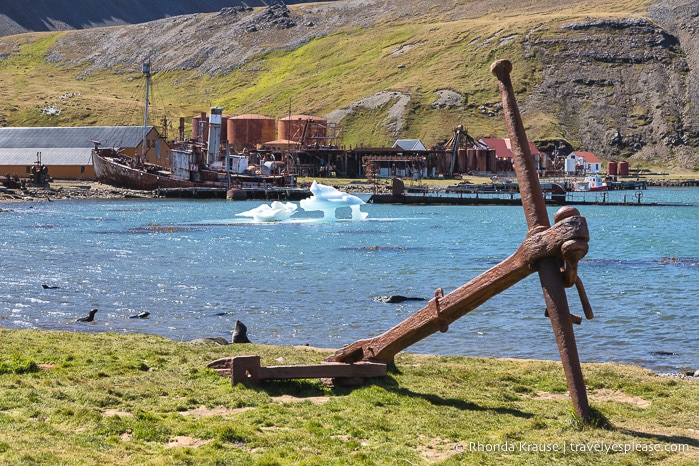 Trip to Antarctica- Itinerary for Visiting Antarctica, South Georgia and Falkland Islands on an Antarctic Expedition Cruise