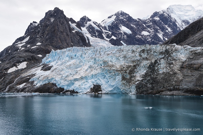 Antarctica Trip Itinerary- Cruise to Antarctica, South Georgia and Falkland Islands