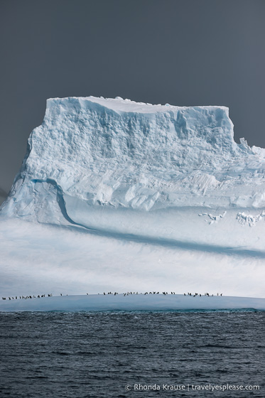 Antarctica Trip Itinerary- Cruise to Antarctica, South Georgia and Falkland Islands