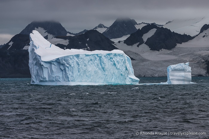 Antarctica Cruise Itinerary- Visiting Antarctica, South Georgia and the Falkland Islands