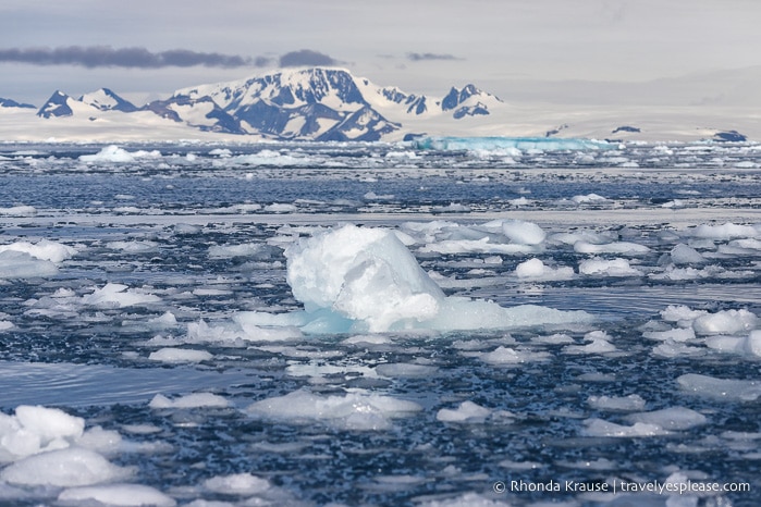 Trip to Antarctica- Itinerary for Visiting Antarctica, South Georgia and Falkland Islands on an Antarctic Expedition Cruise