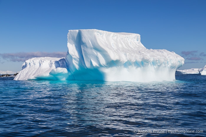 Antarctica Trip Itinerary- Cruise to Antarctica, South Georgia ...