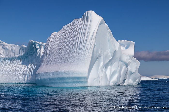 Antarctica Cruise Itinerary- Visiting Antarctica, South Georgia and the Falkland Islands