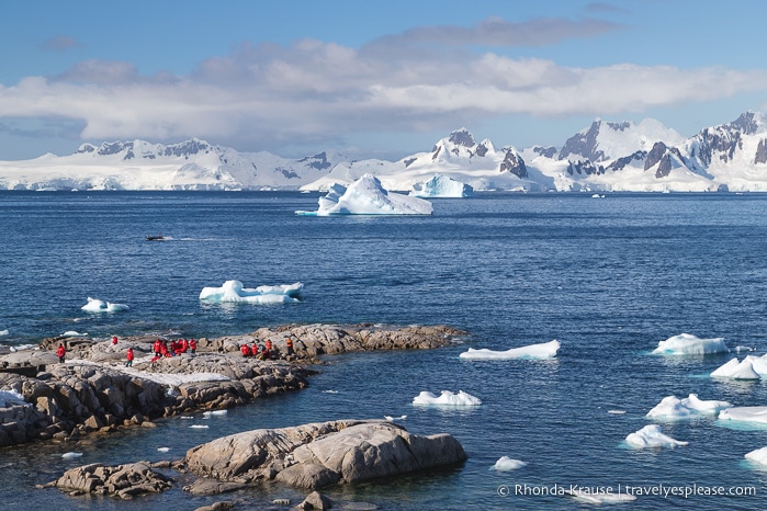 Antarctica Trip Itinerary- Cruise to Antarctica, South Georgia and Falkland Islands