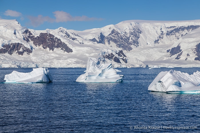 Antarctic Expedition- Cruise to Antarctica, South Georgia and the Falkland Islands