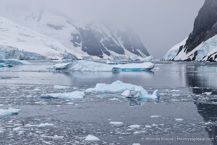 Antarctic Expedition- Cruise to Antarctica, South Georgia and the Falkland Islands