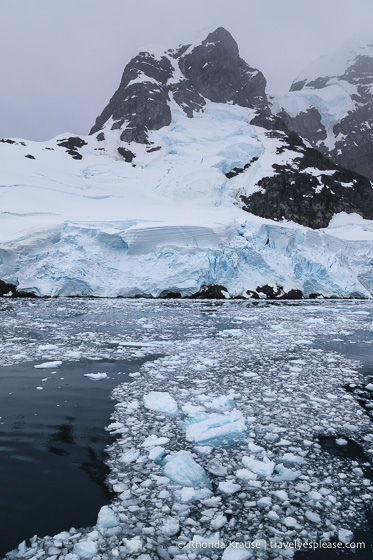 Antarctica Trip Itinerary- Cruise to Antarctica, South Georgia and Falkland Islands