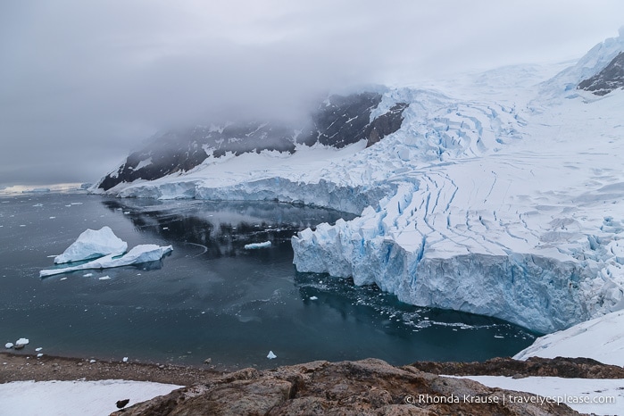 Antarctica Itinerary- Visit to Antarctica, South Georgia and Falkland Islands by Cruise