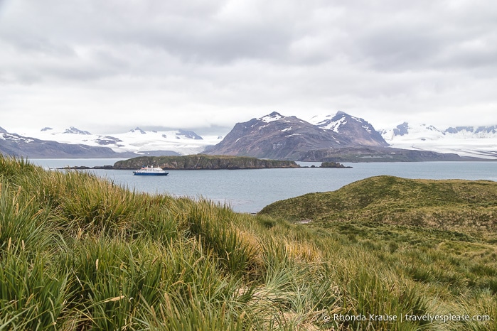 Trip to Antarctica- Itinerary for Visiting Antarctica, South Georgia and Falkland Islands on an Antarctic Expedition Cruise