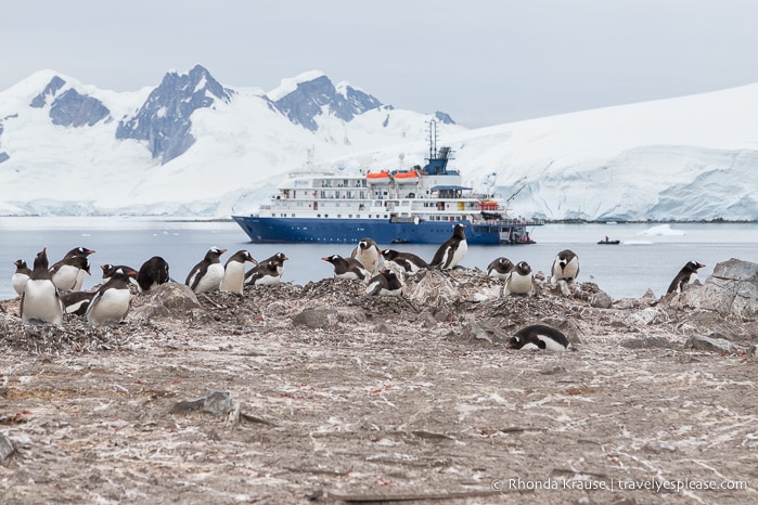 Antarctica Cruise Itinerary- Trip to Antarctica, South Georgia and the Falkland Islands