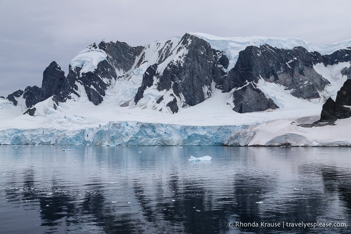 Antarctic Expedition- Cruise to Antarctica, South Georgia and the Falkland Islands