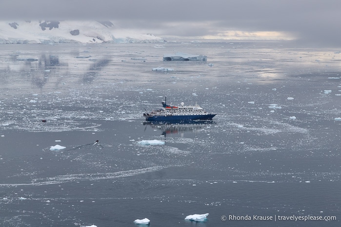 Antarctica Trip Itinerary- Cruise to Antarctica, South Georgia and Falkland Islands