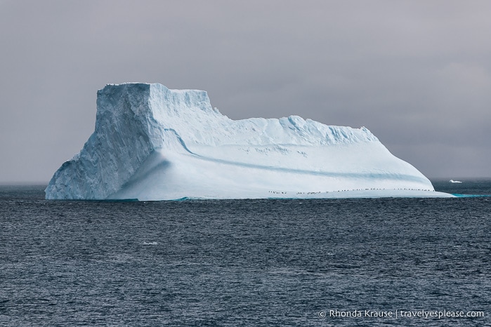 Travelling in Antarctica- What to Expect