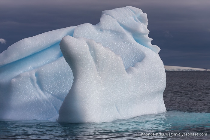 Visiting Antarctica- Things to Know Before You Go