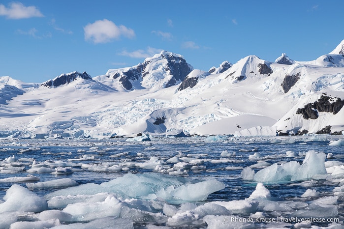 What to Expect on Your First Trip to Antarctica- A First Time Visitor's Guide