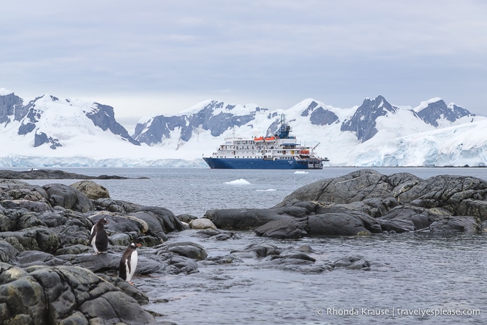 Travelling in Antarctica- What to Expect