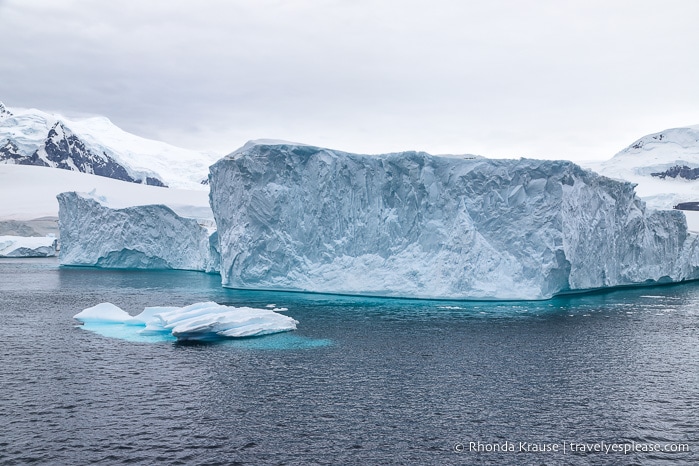 Travelling in Antarctica- What to Expect