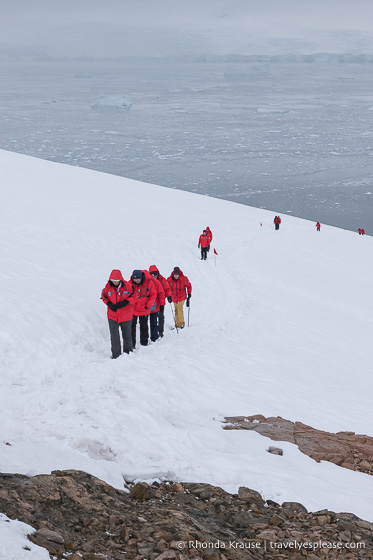 Antarctica Travel Guide- What to Expect When Travelling to Antarctica for the First Time