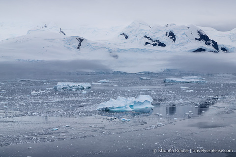 Travel to Antarctica- What to Expect on Your First Visit to Antarctica