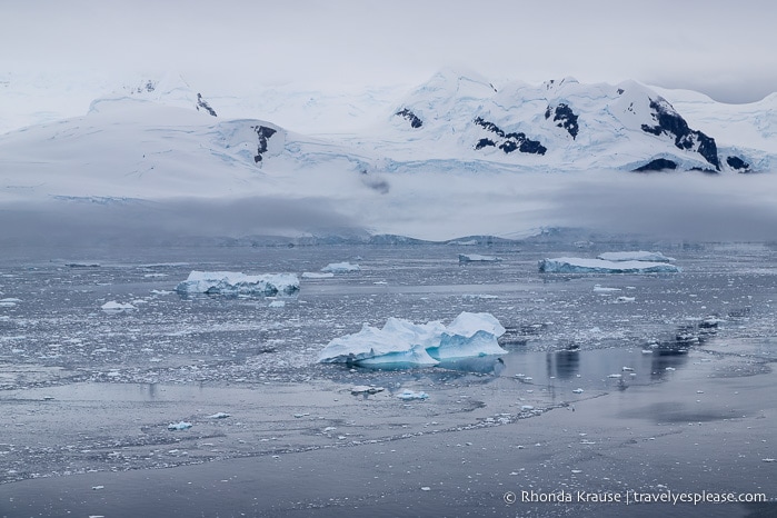 Travel to Antarctica- What to Expect on Your First Visit to Antarctica