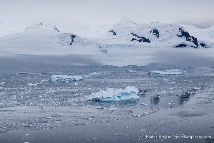 Travel to Antarctica- What to Expect on Your First Visit to Antarctica