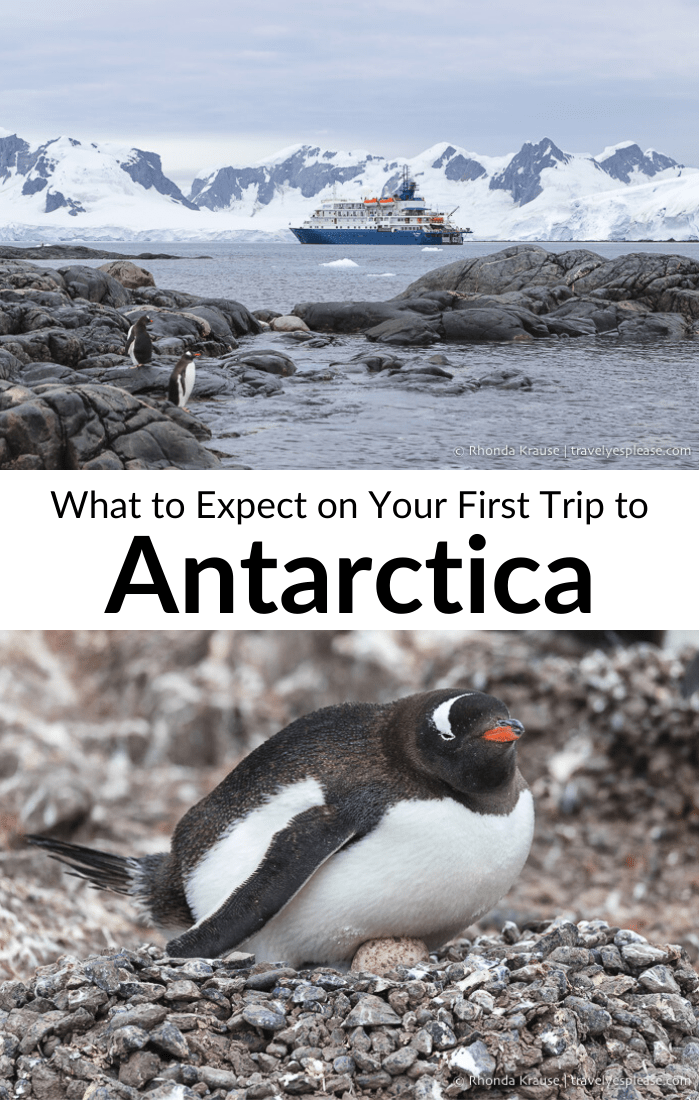 What to Expect on Your First Trip to Antarctica- A First Time Visitor\'s Guide