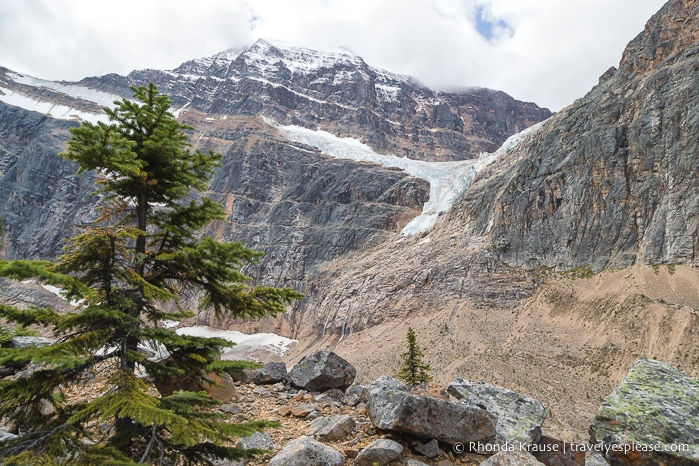 Hiking Cavell Meadows Trail- Jasper National Park