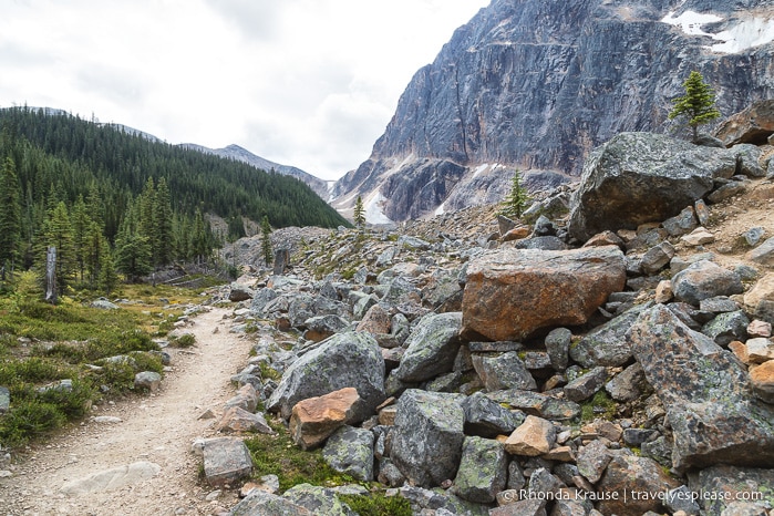 Cavell Meadows Hike Guide- Jasper National Park