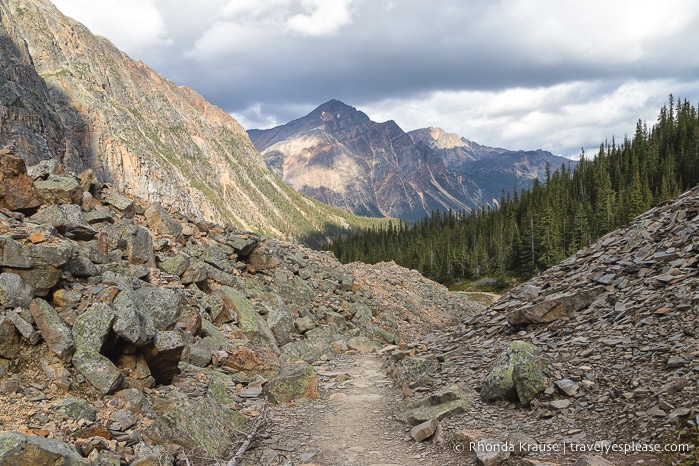 Cavell Meadows Hike Guide- Jasper National Park