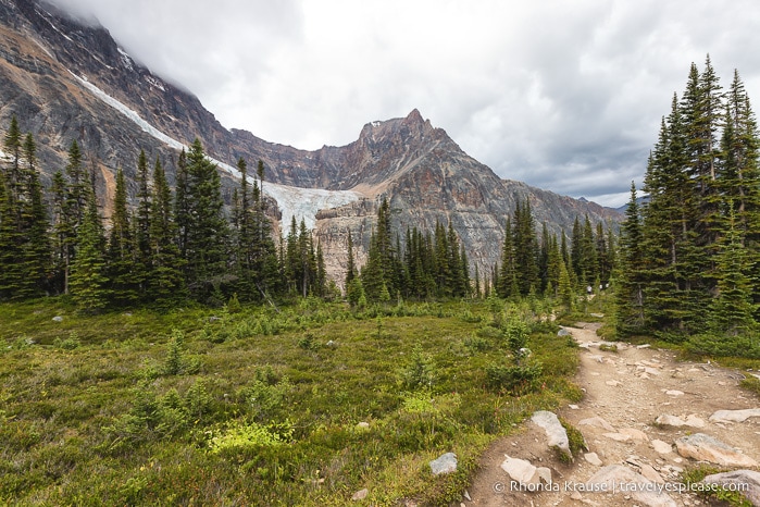 Mt. Edith Cavell Hike- Jasper National Park