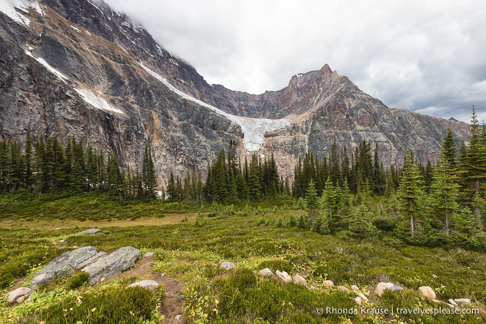 Cavell Meadows Hike Guide- Jasper National Park