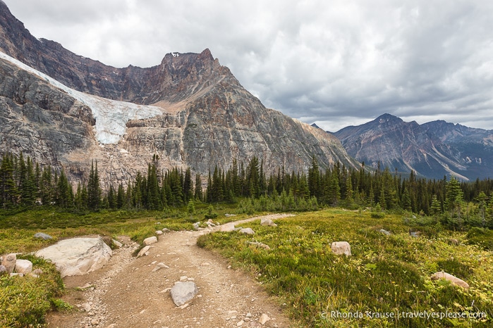 Hiking Cavell Meadows Trail- Jasper National Park