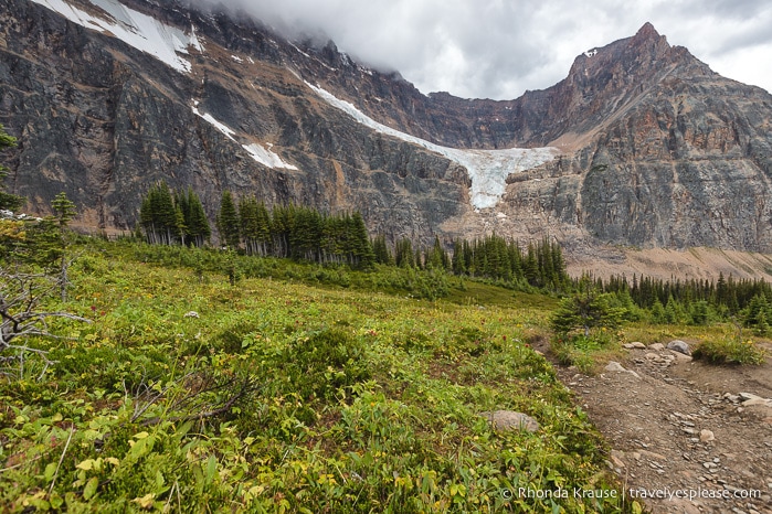 Hiking Cavell Meadows Trail- Jasper National Park