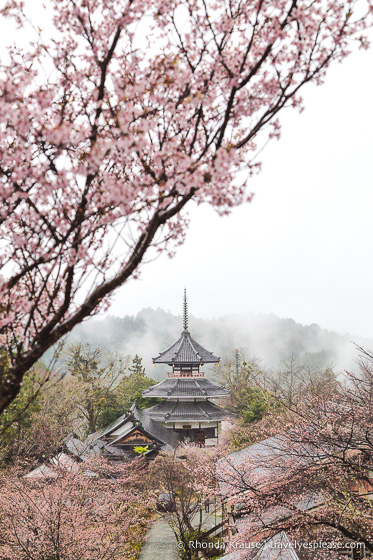 Beautiful Places to Visit in Japan