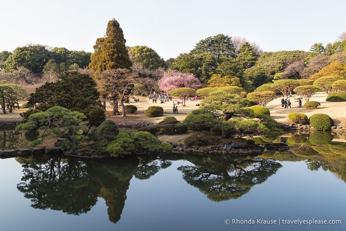 Scenic Spots in Japan- Best Places in Japan to Visit for Beautiful Scenery