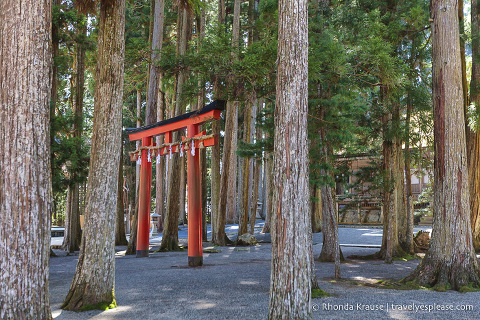 Torii gate in the forest at Koyasan