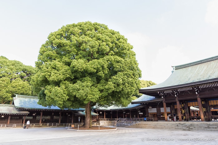 Beautiful Places to Visit in Japan