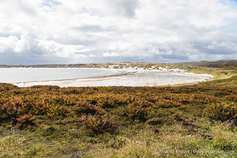 One Day in Stanley- Things to Do in the Capital of the Falkland Islands