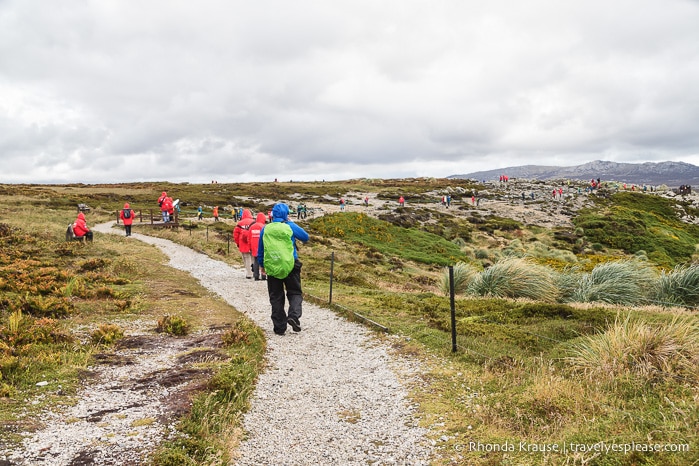 stanley falkland islands walking tour