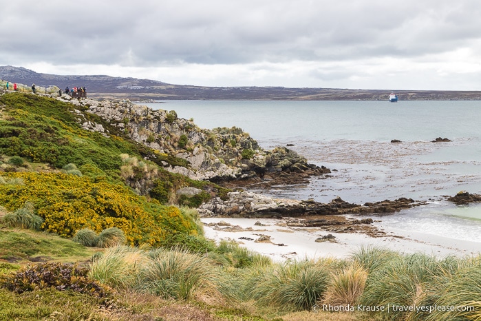 One Day in Stanley- Things to Do in the Capital of the Falkland Islands