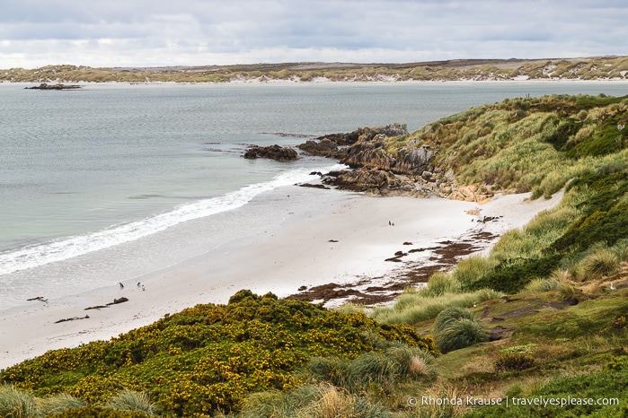 One Day in Stanley- Things to Do in the Capital of the Falkland Islands